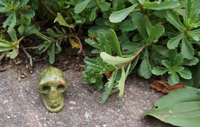 Danach hab ich gleich noch den Garten erkundet...