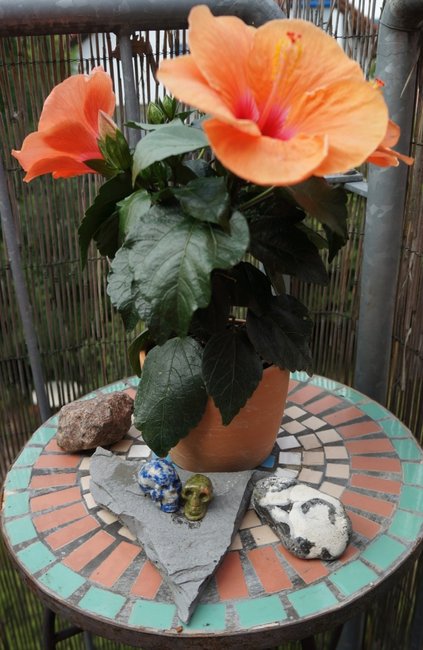 DSC02680.JPG