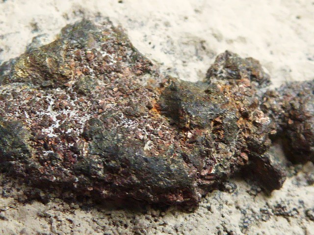 P1130783.JPG