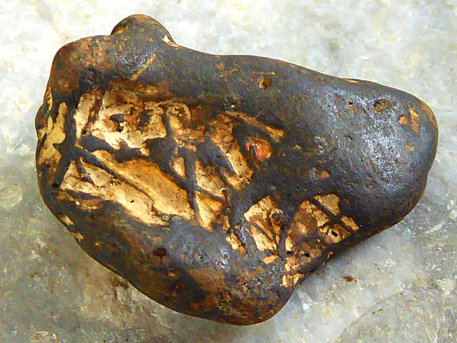 P1130066a.jpg