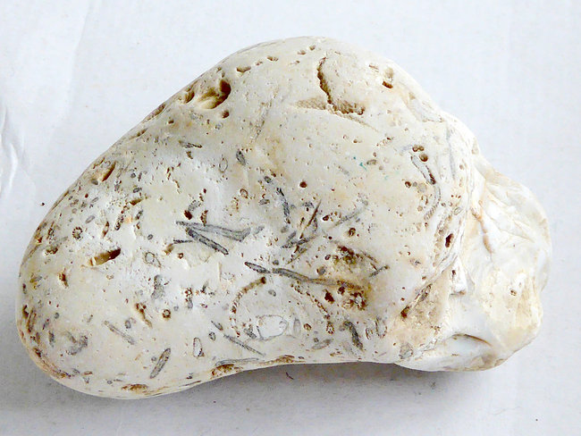 P1130367a.jpg
