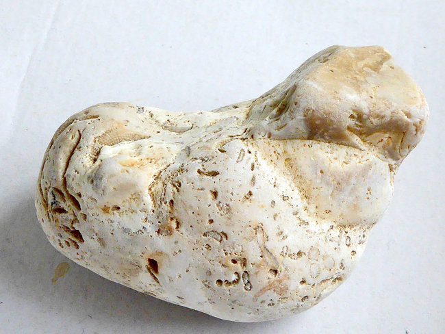 P1130366a.jpg