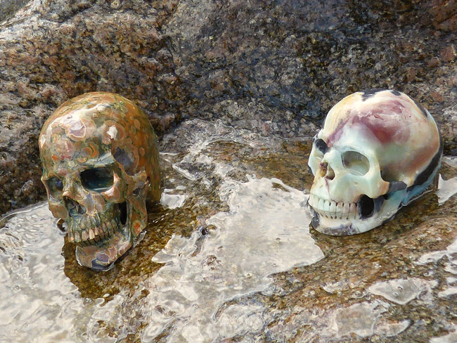 Kea&Shimon3.jpg