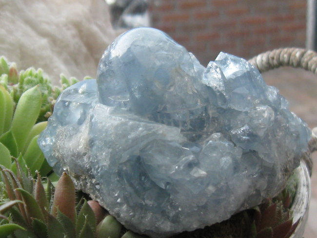 skull celestine Asteri (1).jpg