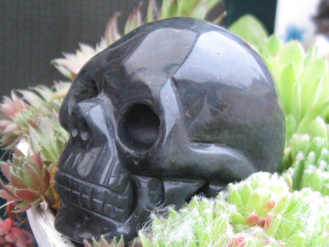 skull donkerblauwpyriet (3).jpg