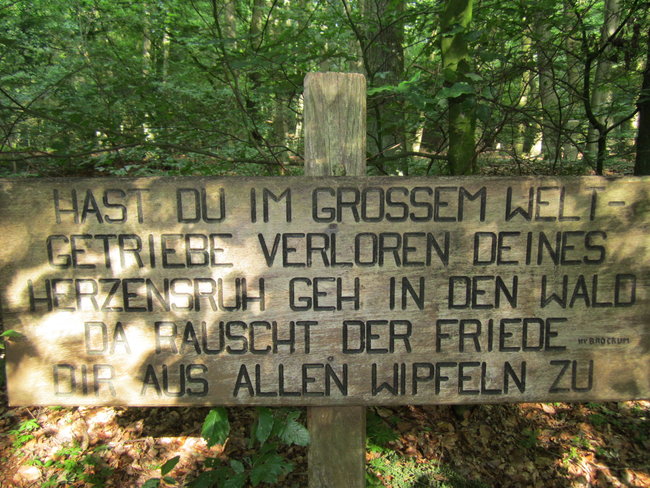 Suchbild.....wer findet mich ????