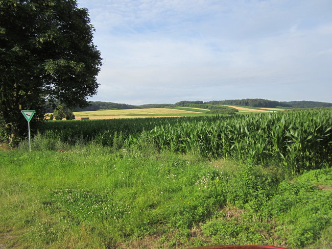 auf zum Stemweder Berg