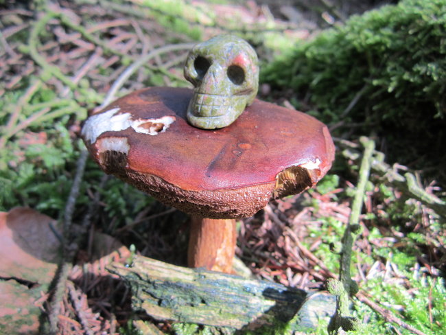Juchhuuuuu..... ich hab einen Pilz gefunden... was er mir wohl flüstern will