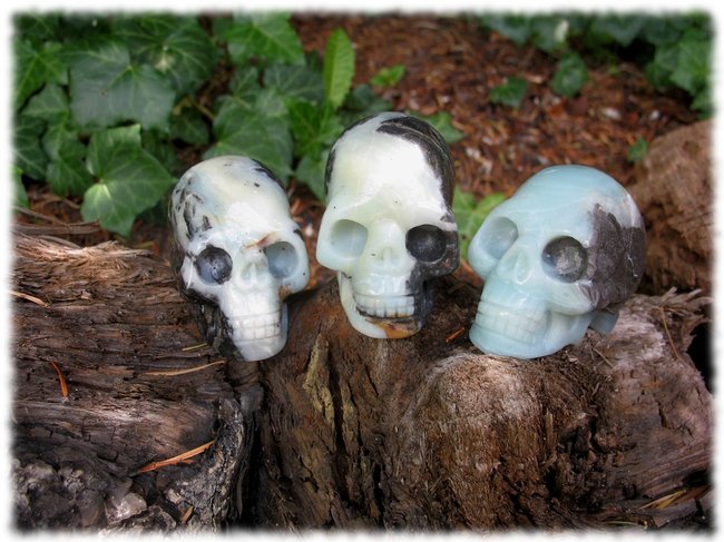 Seraphine, Basra + Ginger