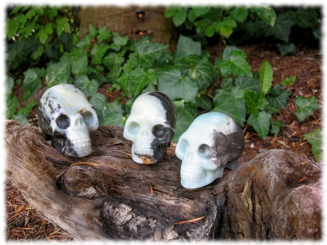 Seraphine, Basra + Ginger