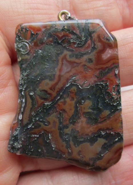moosi rot06.jpg