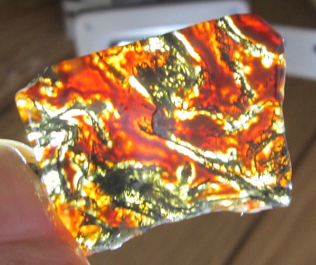 moosi rot01.jpg