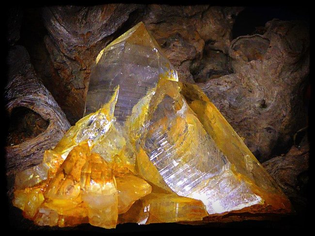 Golden Healer Familie 2.jpg