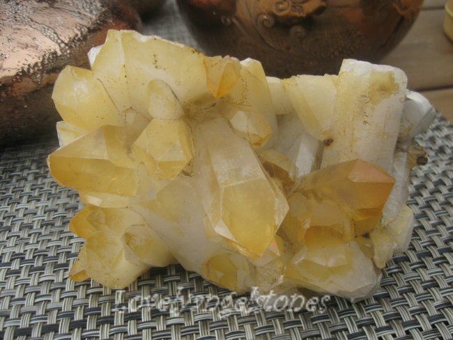 goldenhealer kluster.JPG