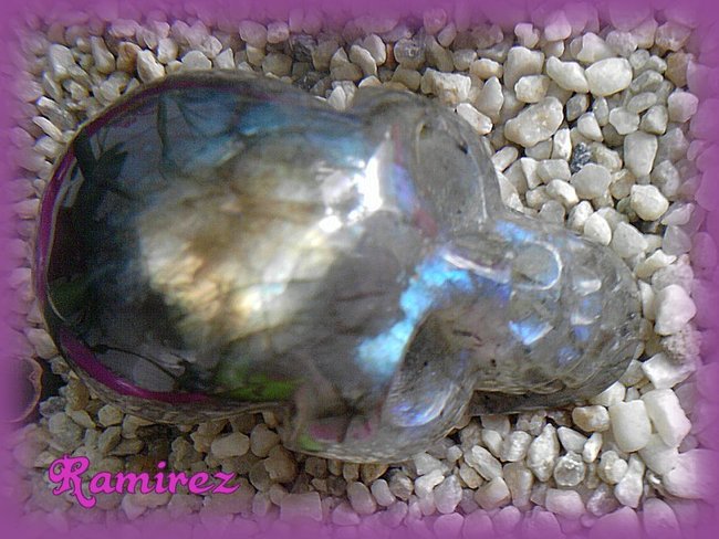 ramirez002.jpg
