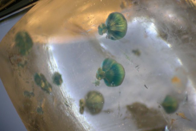 GilalithQuarz5236_1.jpg