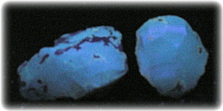 Blauer Bernstein unter der UV Lampe