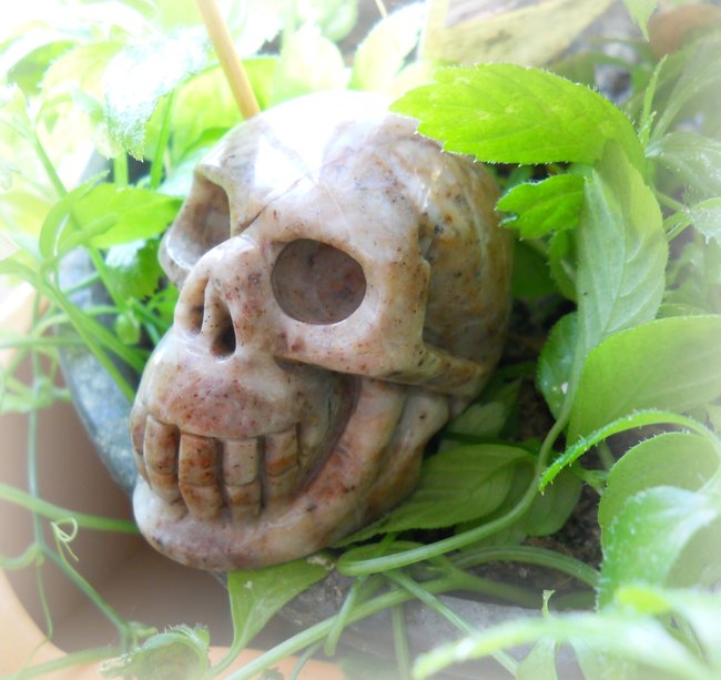 Lionel_skull90.JPG