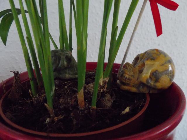 Leonardo voll versteckt