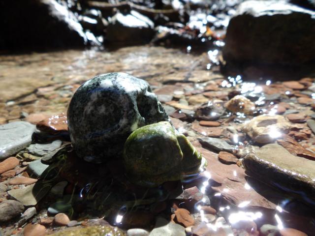 Leonardo beim Wasserfall