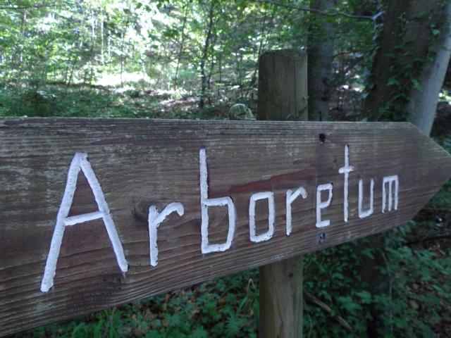 Arboretum