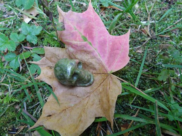 erste Anzeichen von Herbst?