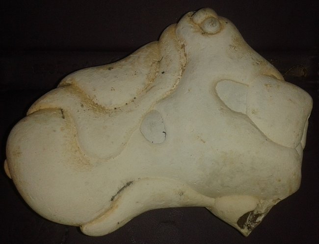 Menalite Opal1.jpg