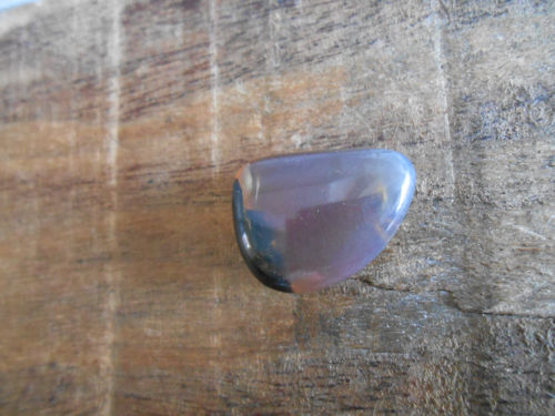 barnsteen blue sumatra.JPG