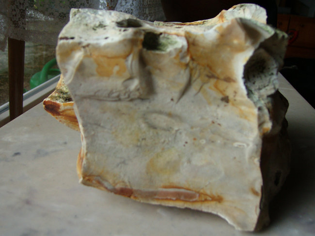 100D4403.jpg