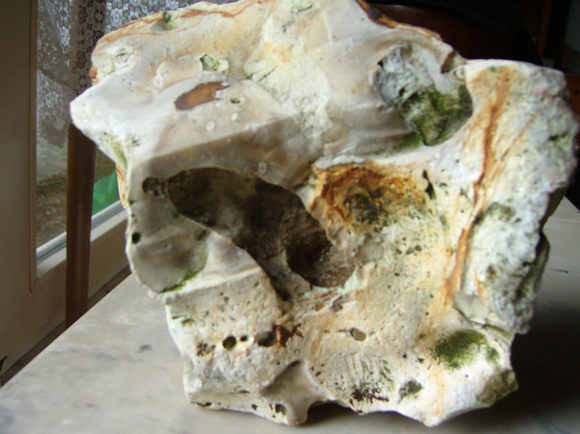 100D4405.jpg