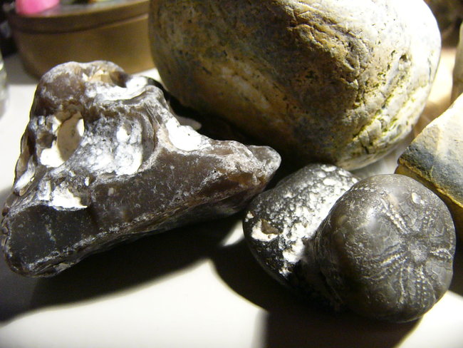P1390033.JPG