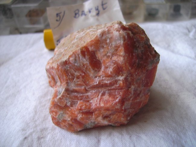 BILD0228.JPG