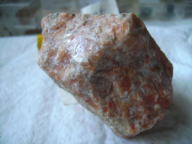 BILD0229.JPG