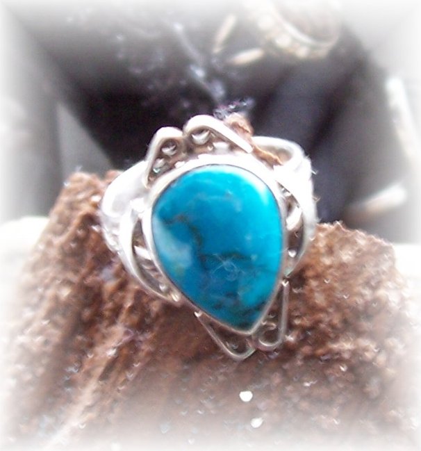 Ring_Shattuckit7.JPG