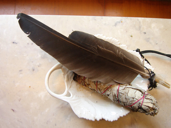 CraneFeathers.jpg