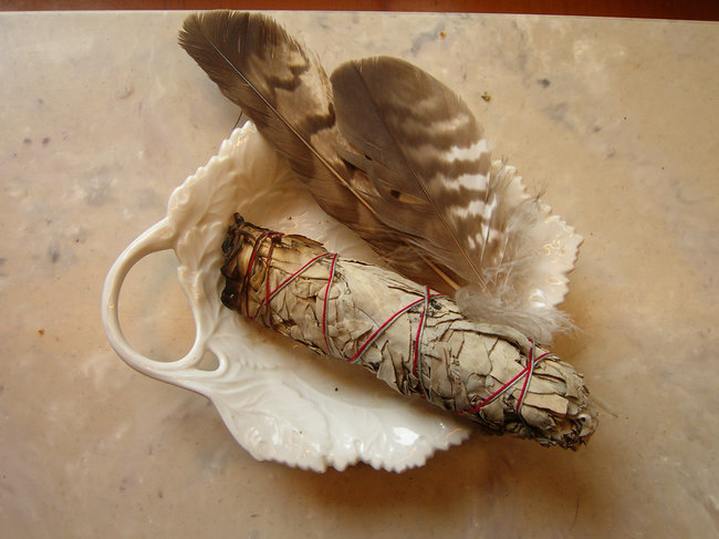 BuzzardFeathers.jpg