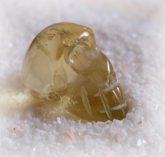 Citrin_skull94.JPG