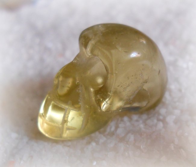 Citrin_skull95.JPG