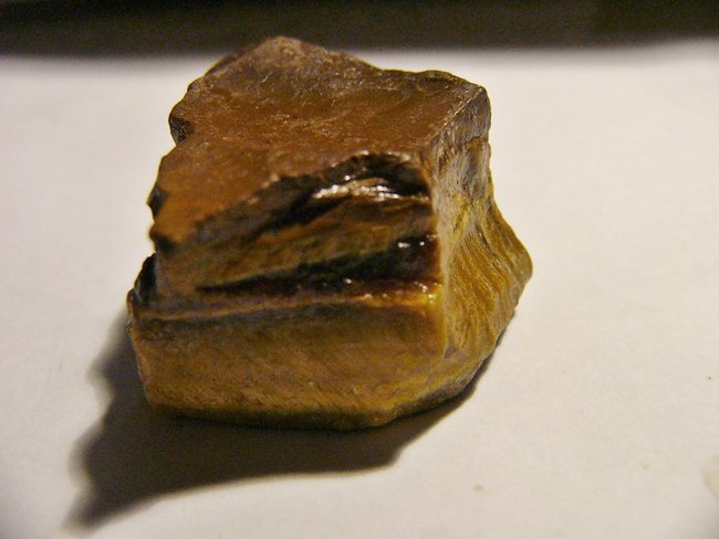 Tigerauge