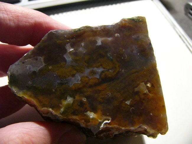 P1390351.JPG