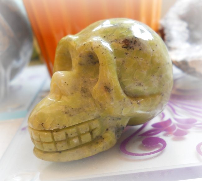Serpentin_Cytha_skull30.JPG