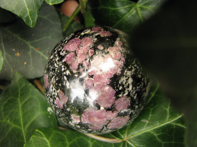 Granat in Biotit