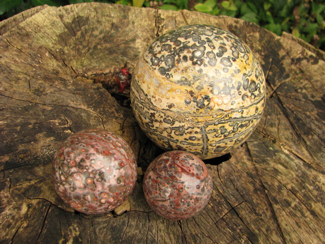 Leoparden Rhyolit