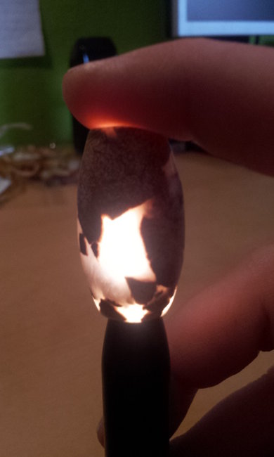 20140914_102850.jpg