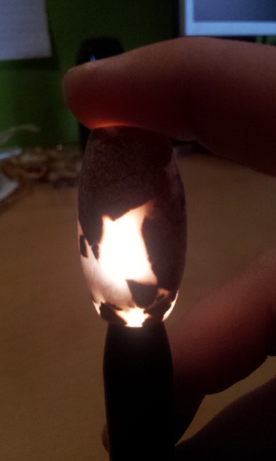 20140914_102853.jpg