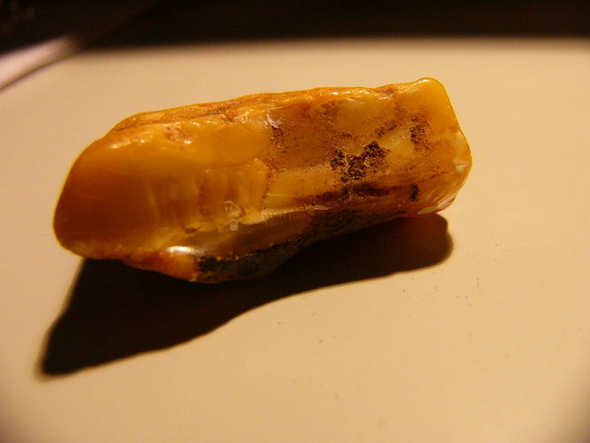 P1390567.JPG