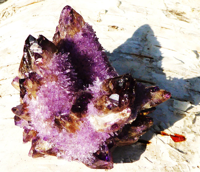 P1210273a.jpg