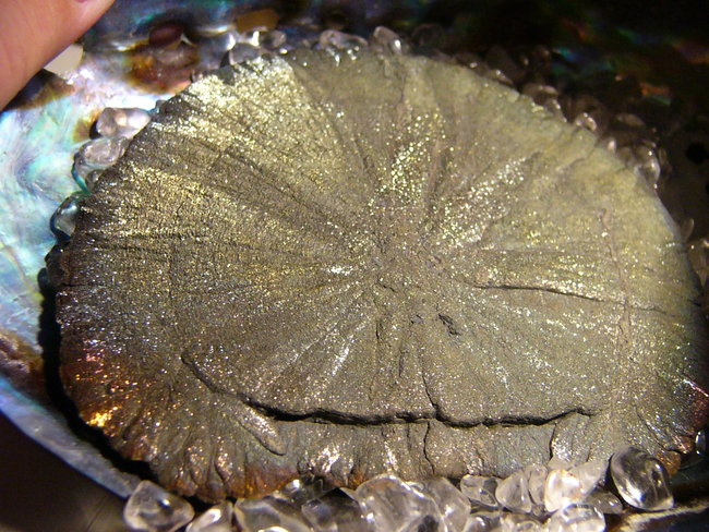 Pyrit Sonne