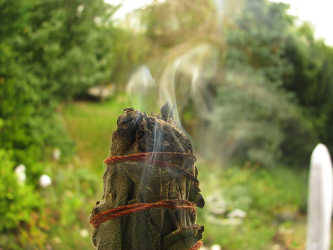 Dalm.Salbei Smudge