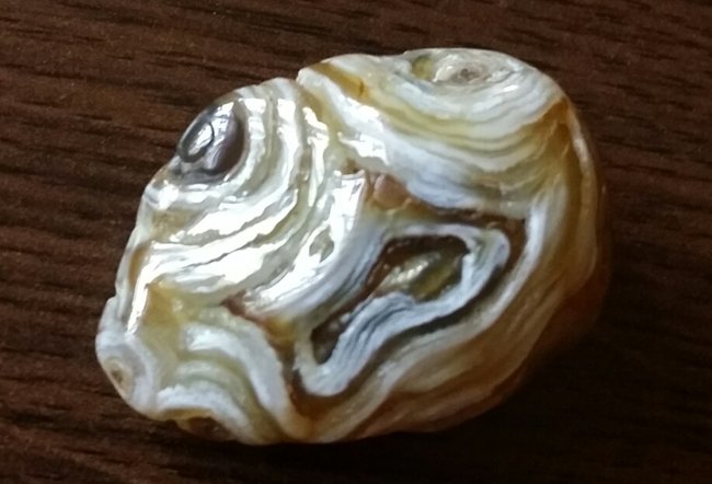 2014-09-27 12.59.02.jpg